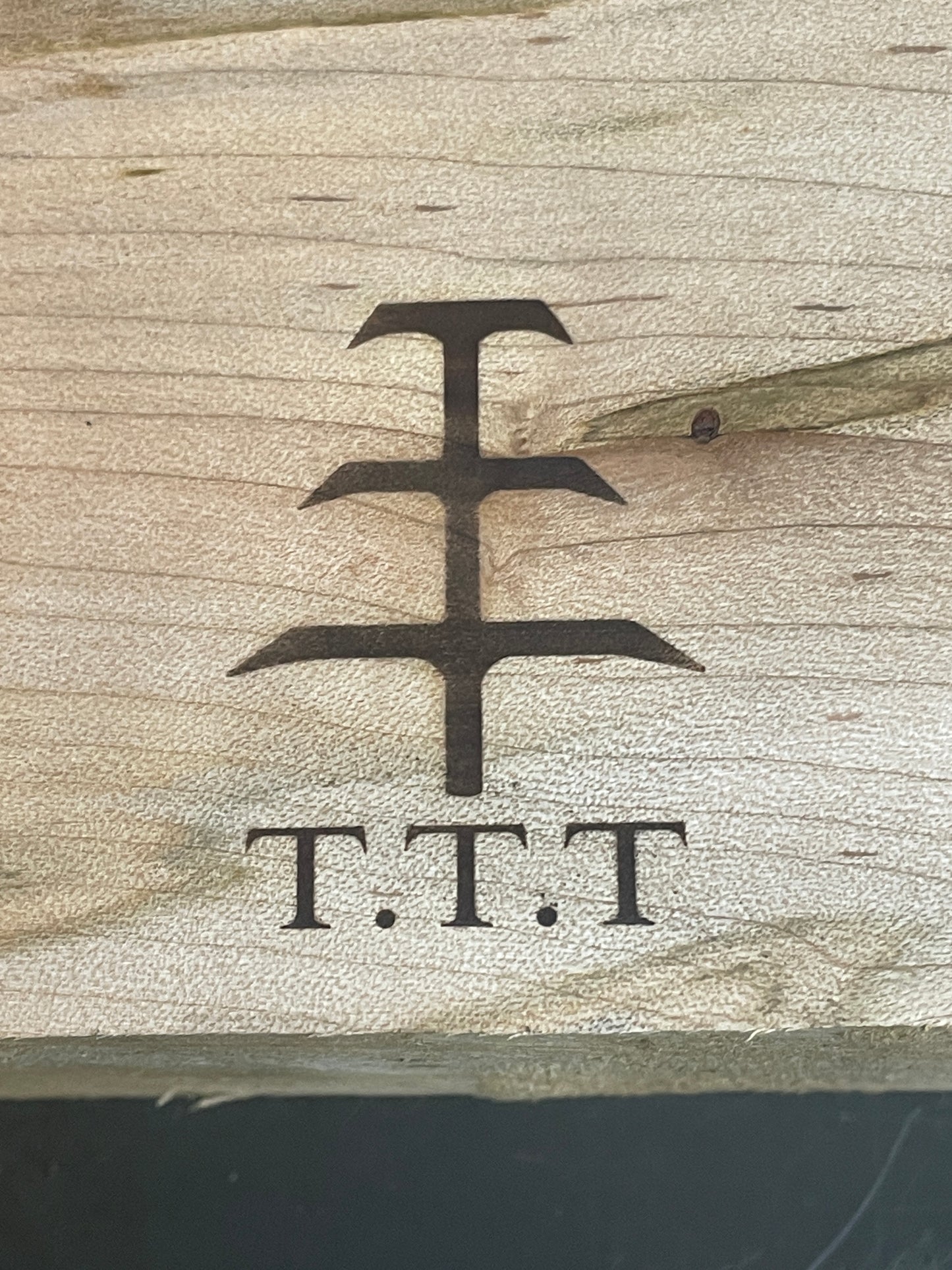 Custom electric TTT Branding Iron