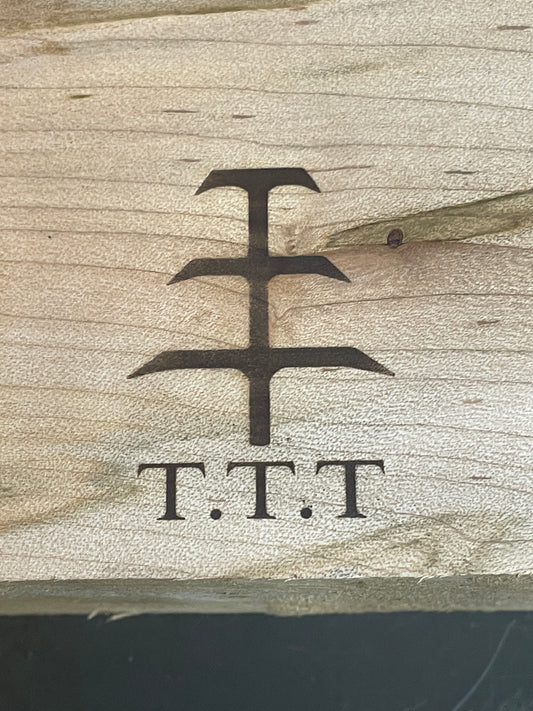 Custom electric TTT Branding Iron