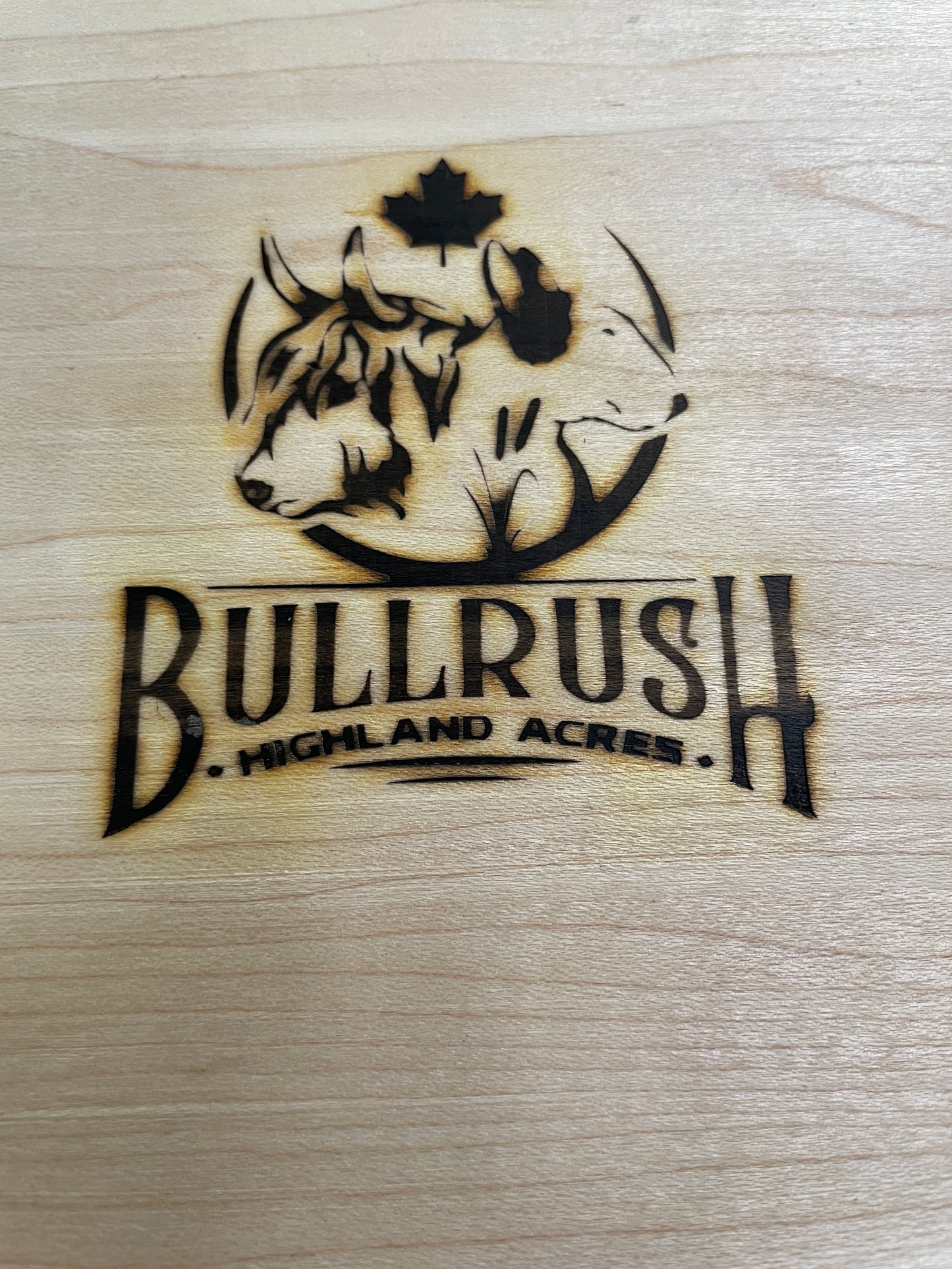 BullRush Branding Iron