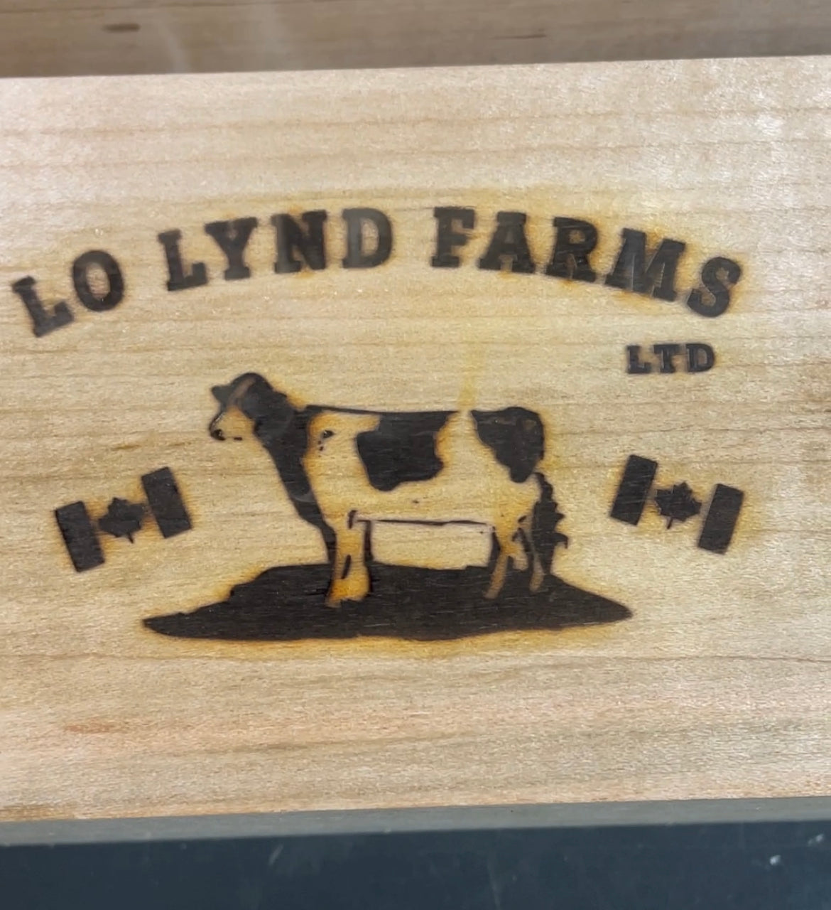 Custom Brand for Lo Lynd